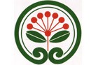auckland supercity logo