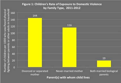domestic violence by family type