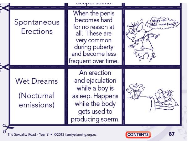 sex education sexuality road