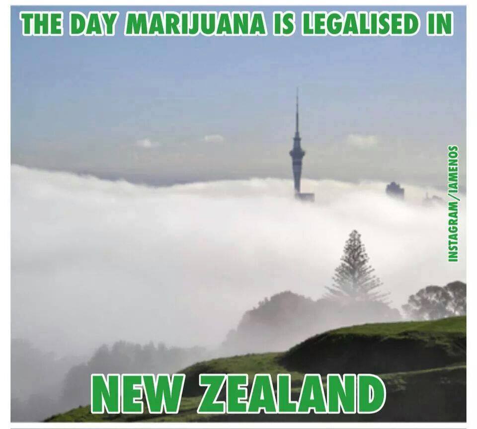marijuana leaglised nz