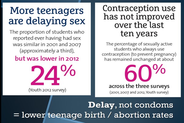Teen Sexual Activity Teen Contraceptive 83